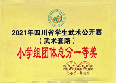 四川省学生武术公开赛团体总分一等奖