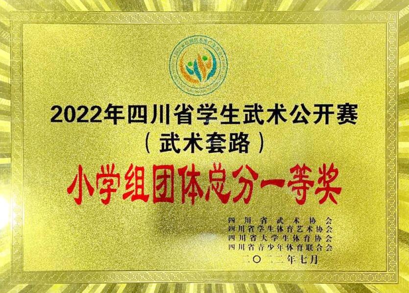 2022年四川省学生武术公开赛 (武术套路) 小学组团休总分一等奖