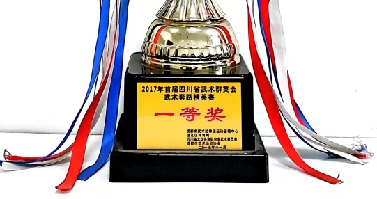 2017年11月首届四川省武术群英会武术套路精英赛：一等奖