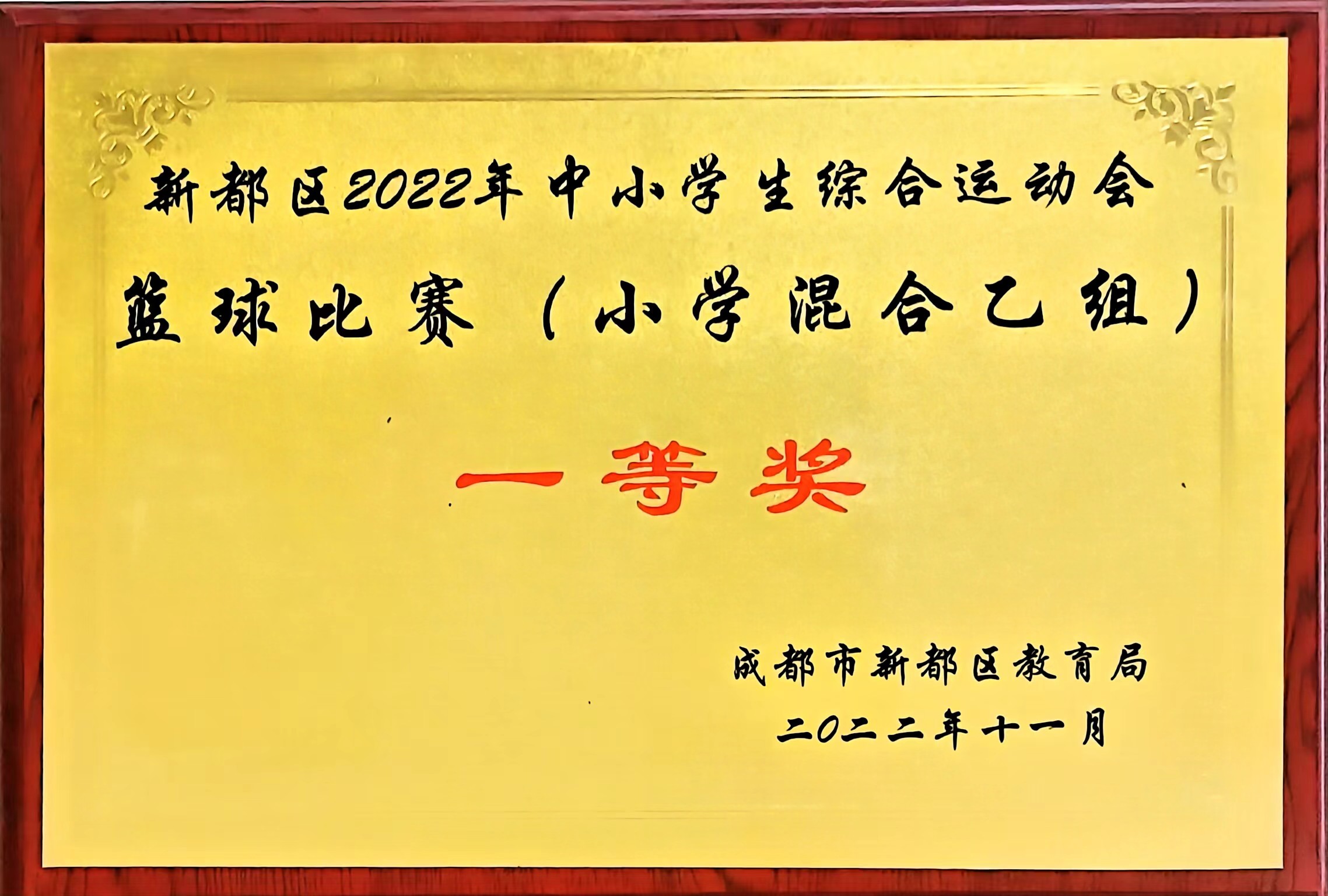 2022年11月中小学生综合运动会篮球比赛(小学混合乙组)：一等奖