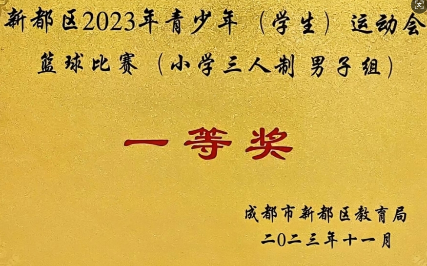 [学校获奖]2023年11月青少年(学生)运动会篮球比赛 (小学三人制男子组)：一等奖