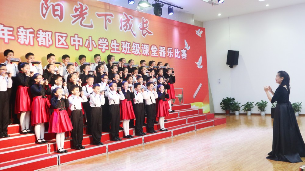 2019年新都区中小学课堂乐器比赛一等奖第一名.jpg