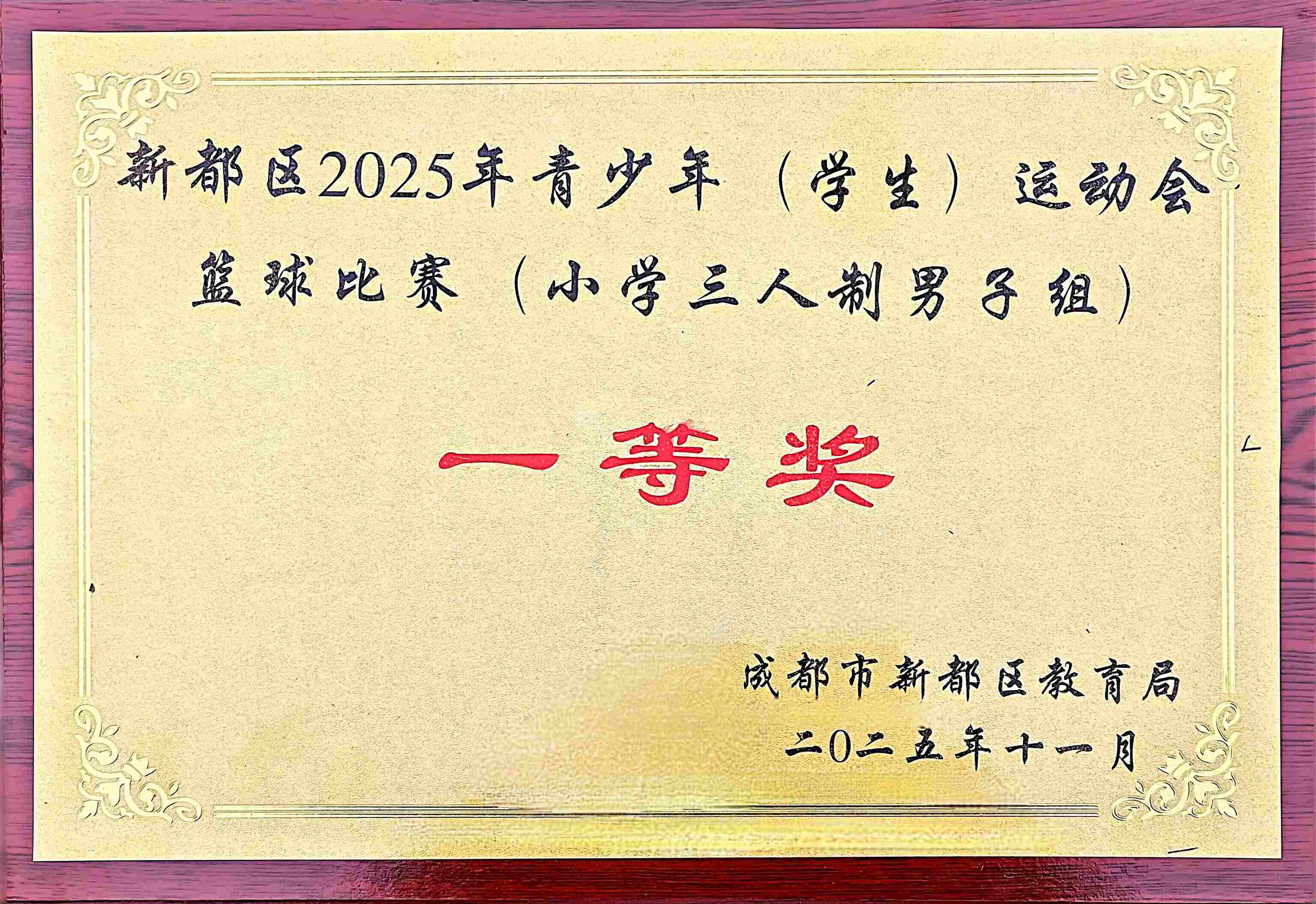 2025年11月青少年运动会篮球比赛（小学三人制男子组）：一等奖.jpg